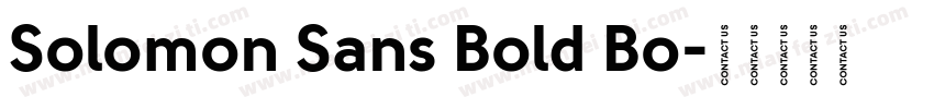 Solomon Sans Bold Bo字体转换